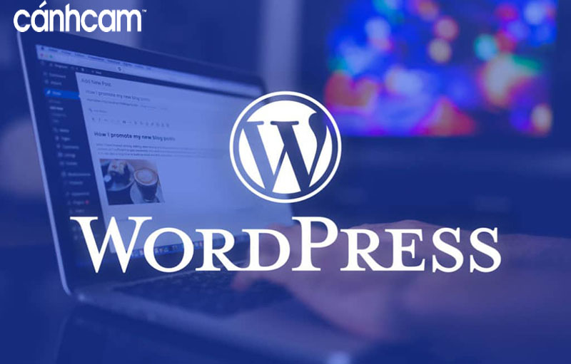 Phần mềm WordPress